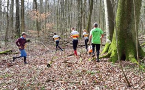 TSG_Wiesloch_LA_200308_Orientierungslauf_Wiesloch_image013_paint