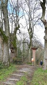 TSG_Wiesloch_LA_200308_Orientierungslauf_Wiesloch_image030_paint