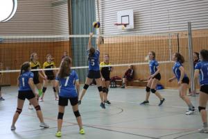 TSG_Wiesloch_Volleyball_SP_181125D3_04