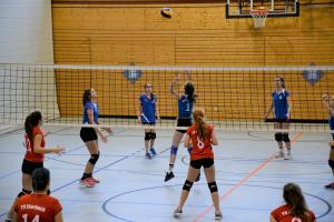 TSG_Wiesloch_Volleyball_Sp_191124D4_16