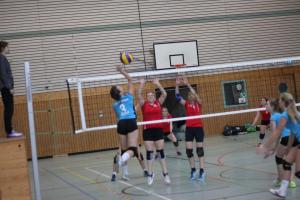 TSG_Wiesloch_Volleyball_Sp_20191102D2_03